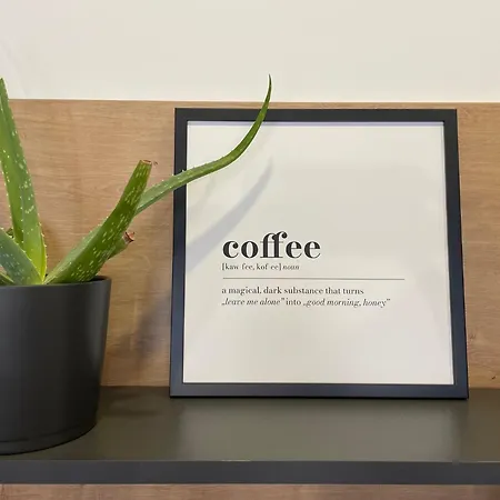 Rakoczihome * 索普隆